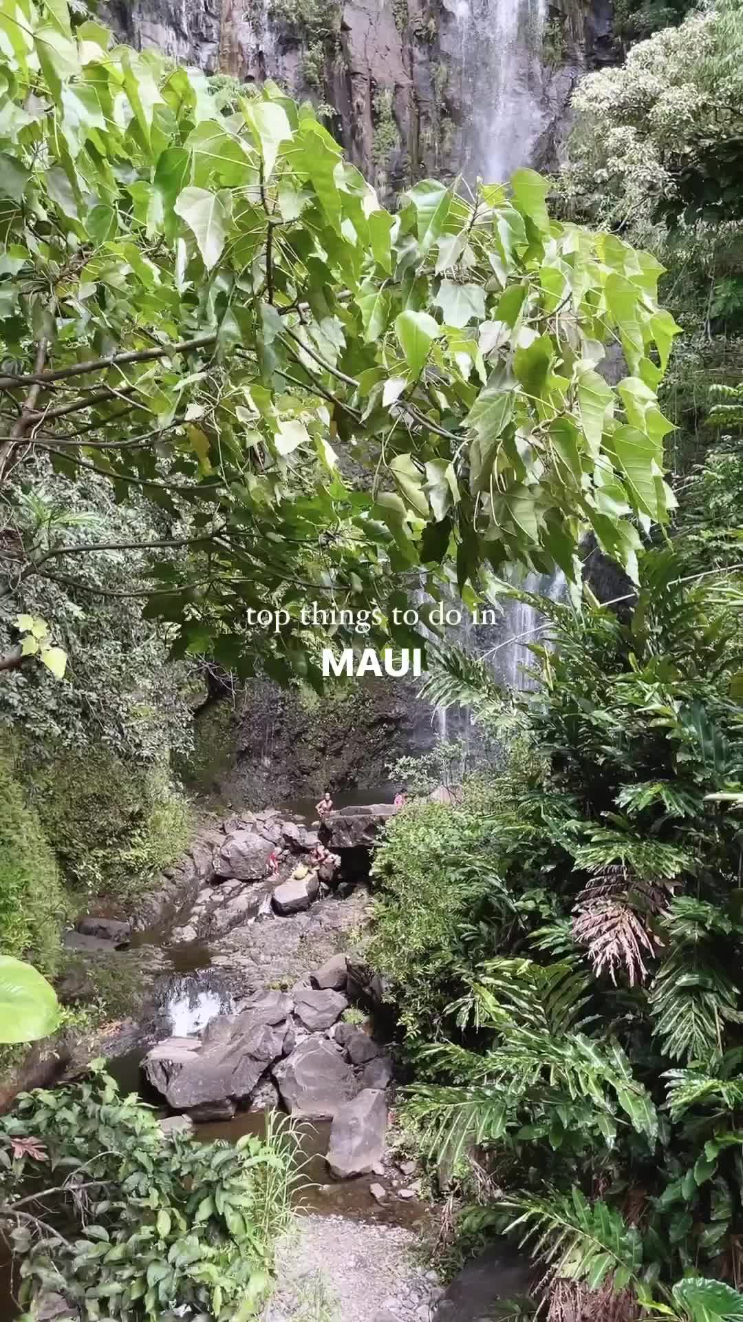 Top Things to Do in Maui - Part One 🌺