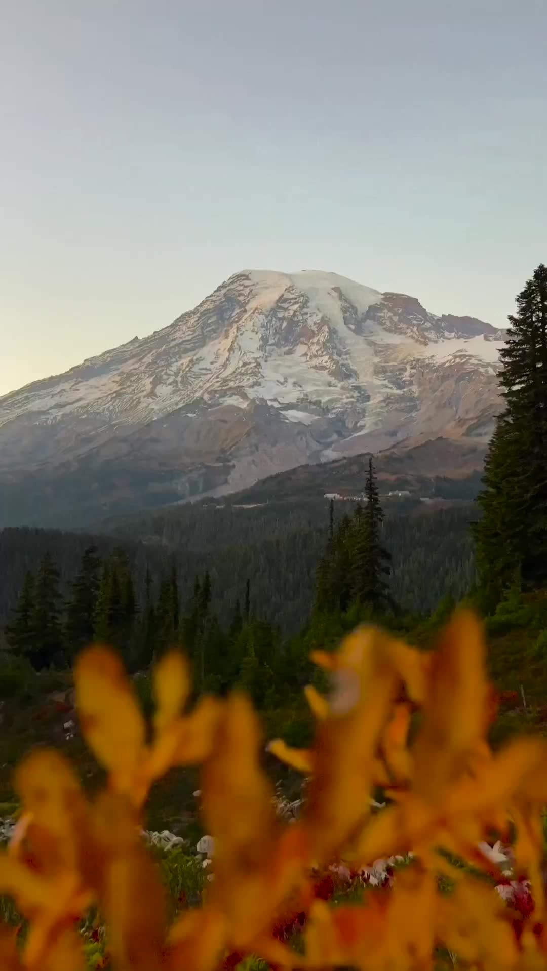 Best Time to Visit Mt. Rainier National Park: Fall 2023
