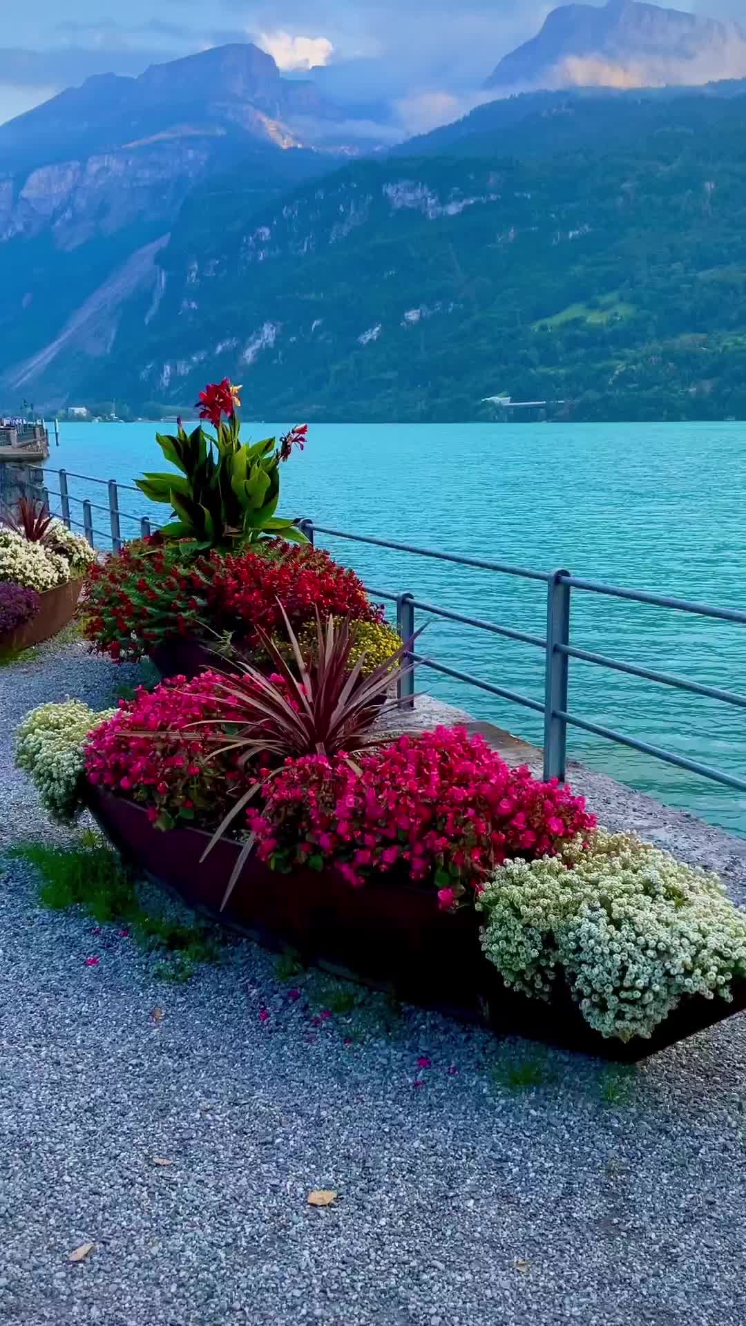 Evening Walk by Brienz Lake in Switzerland