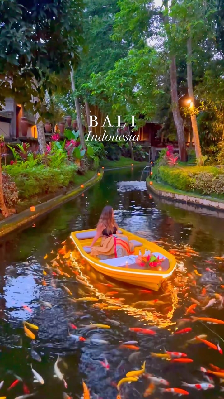 Magical lake in Bali 🐠✨🌳💕 Tag someone whom you’d like to visit Bali together with 😍

Follow @melis.andreea for more travel destinations, stays, experiences, inspo & tips 💫

#bali #balilife #balitrip #balitravel #baliindonesia🇲🇨 #indonesia #travelindonesia #travelbali