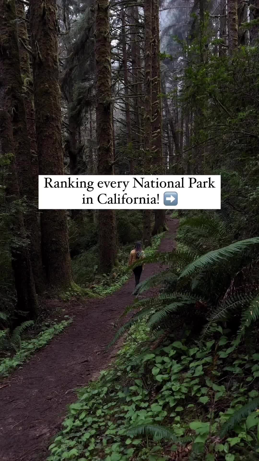 Top 3 Favorite National Parks in California Revealed!