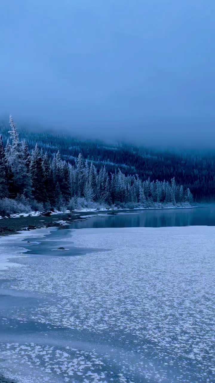 Winter Wonderland Adventures in Yukon, Canada