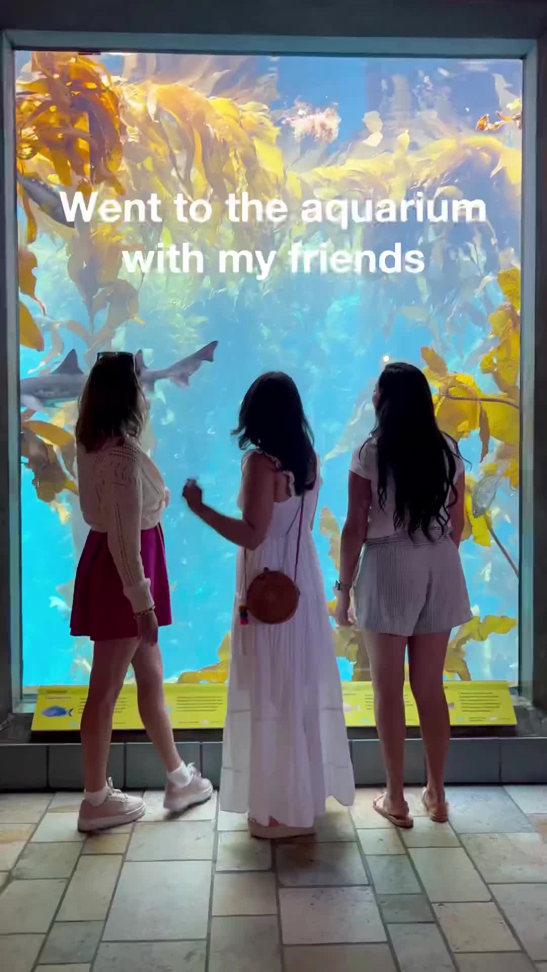 Aquarium Photoshoot Tips at Monterey Bay Aquarium