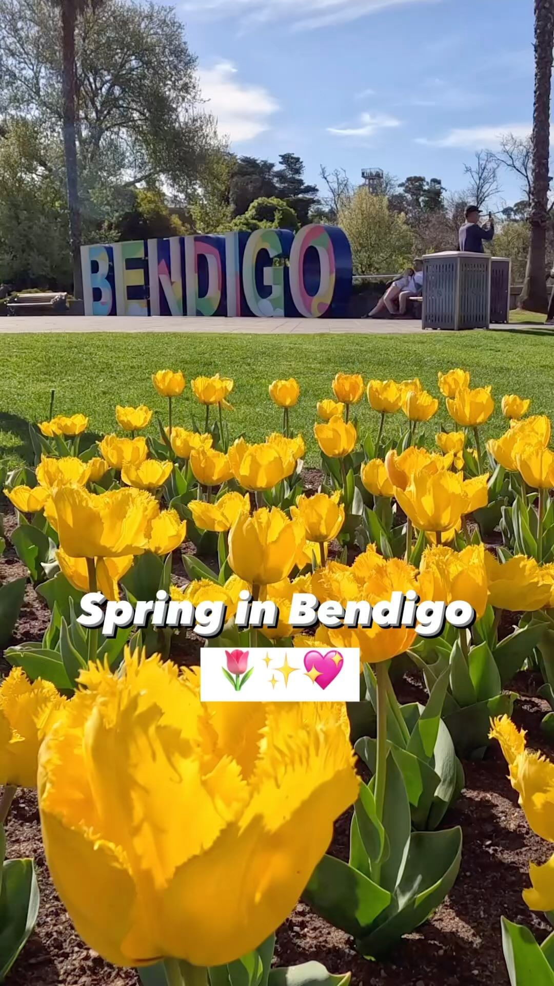 Culinary Delights and Historic Sights: 5-Day Bendigo Exploration