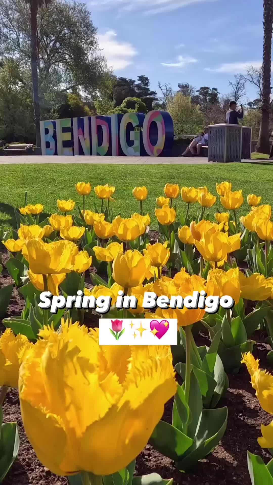 Bendigo Tulip Festival: Experience Bloom After Dark