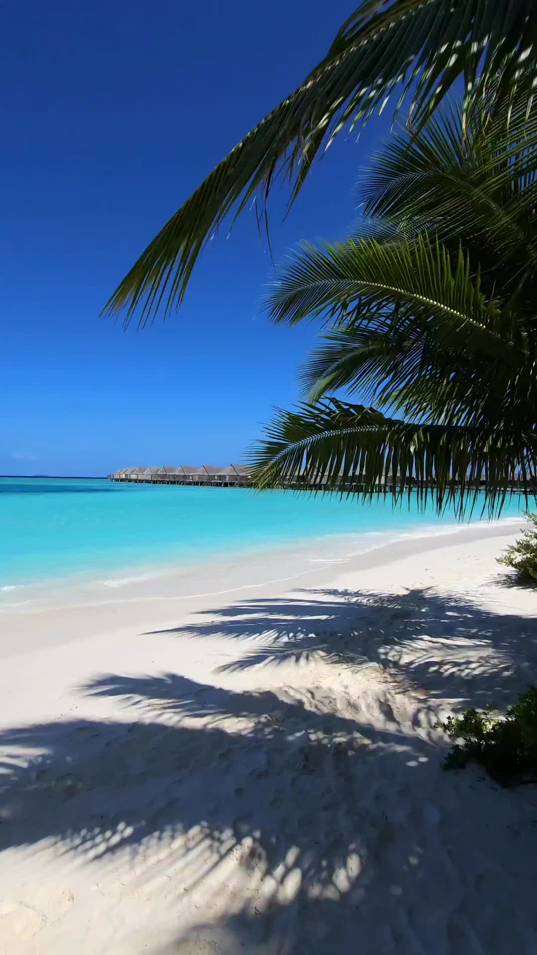 Stunning Beach in Maldives at Anantara Kihavah 🤩🏝️