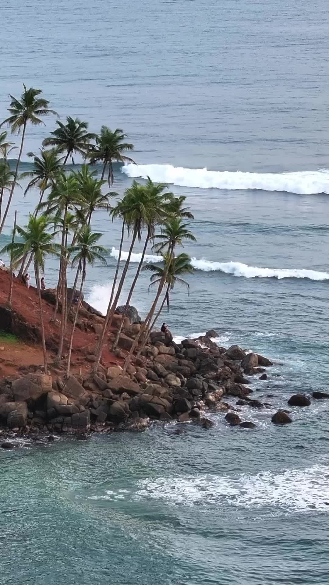 Must Visit: Coconut Tree Hill in Mirissa, Sri Lanka 🌴