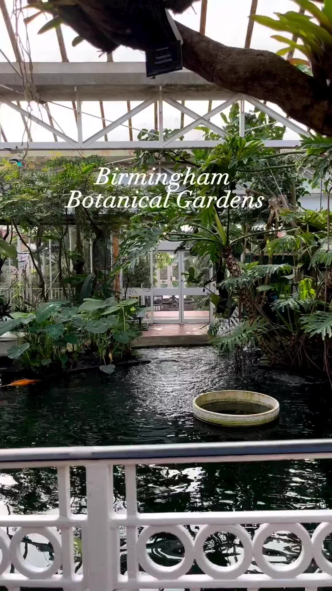 Birmingham Botanical Gardens: A Must-Visit in the UK
