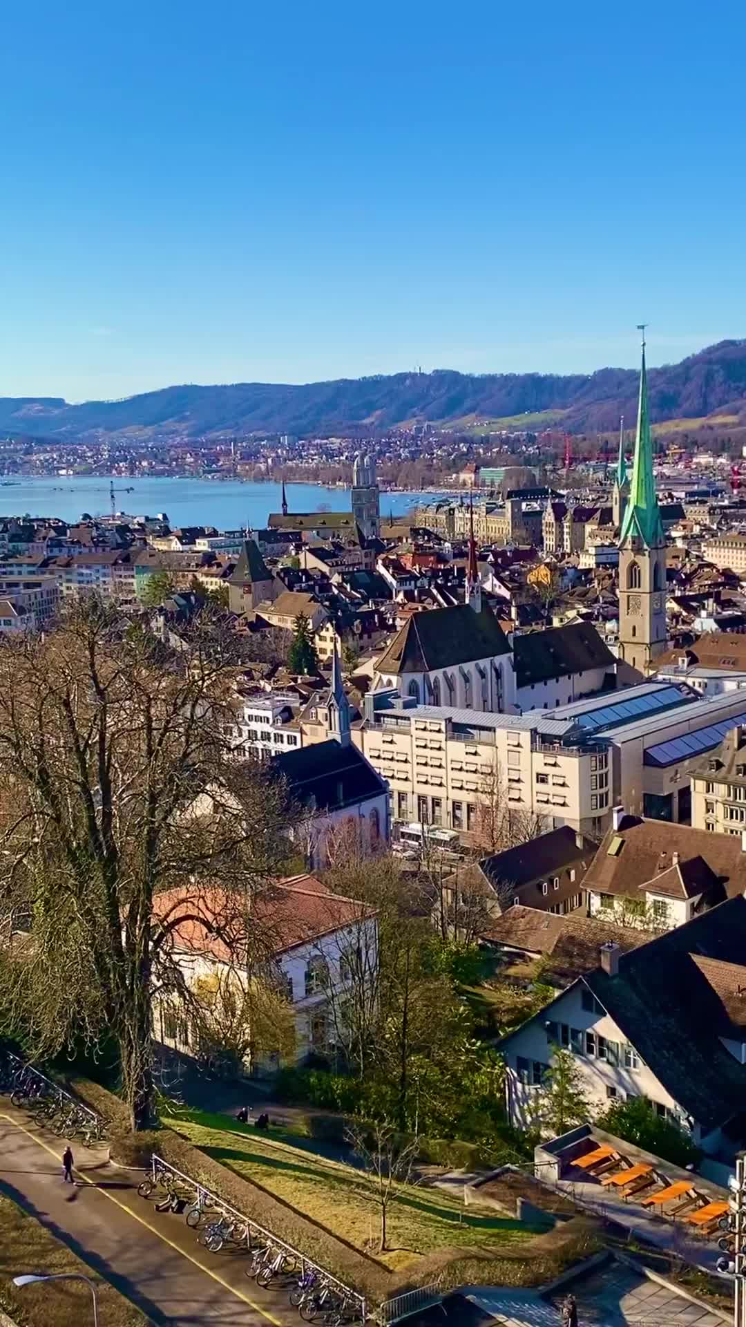 Mid-March in Zurich: Blossoms & Scenic Views