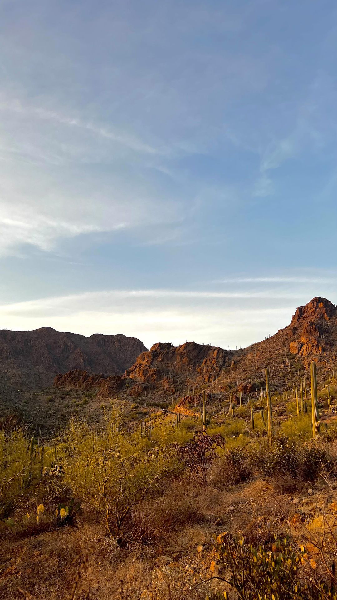 Southern Arizona 5-Day RV Adventure with Parking