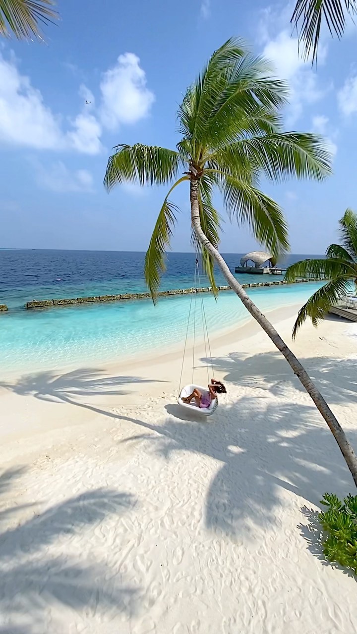 The best chill spot award goes to @maafushivarumaldives 😍

Tag someone who would enjoy some swing time 🌴

With everything going on at the moment, I’m looking back at the simpler times 
When the only concern was whether to swim in the ocean or the pool 🌊

🎵 @kaliuchis - Telepatia
🎥 @dobelemarta 

#maafushivaru #maafushivarumaldives #luxuryworldtraveler #vacations #beautifulhotels #voyaged #earthpix #tropicals #dirtybootstravel #tophotels #paradise #passionpassport #cntraveler #travelandleisure #travelreels #instagramreels #reels #tasteinhotels #bestvacations #vacation #view #maldives #visitmaldives #maldivesmania #maldivesinsider