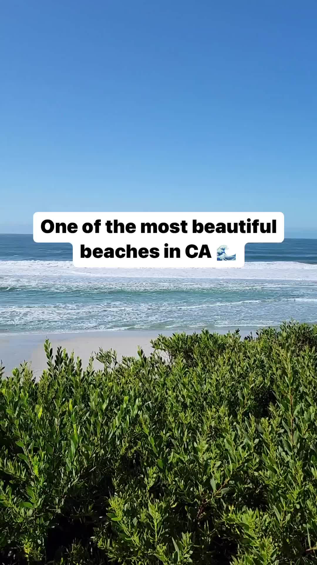 Discover the Beauty of Carmel Beach, CA