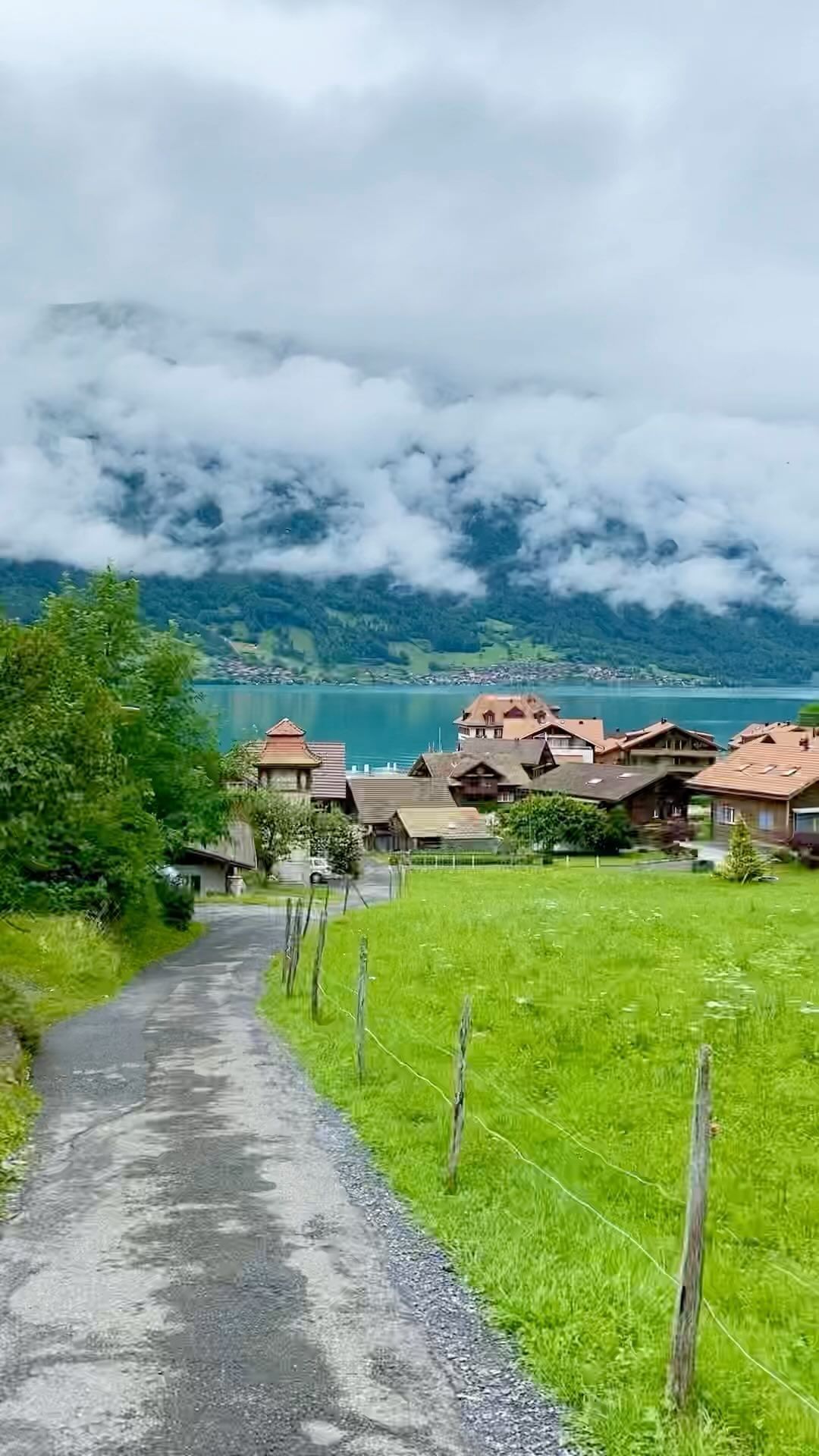 Rainy day in Iseltwald 🏡🇨🇭
Have a beautiful Friday everyone 🍃