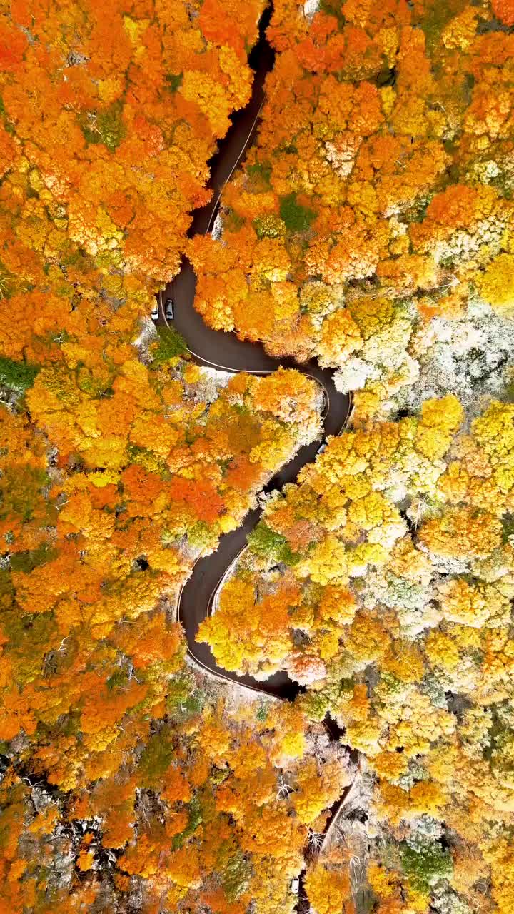 Vermont Snowliage Adventure: Autumn Colors & Snow