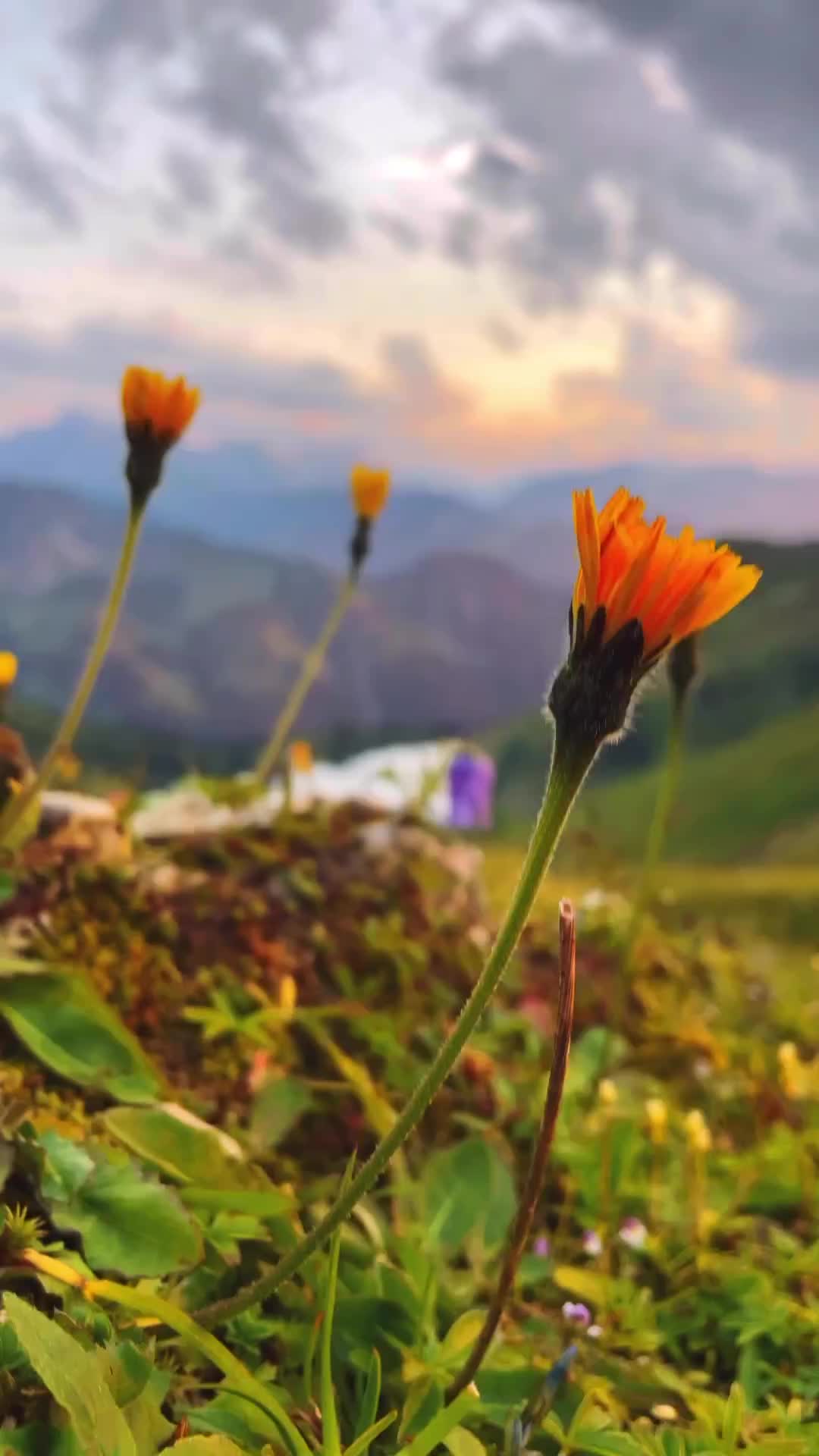 Breathtaking Sunset in the Mountains of Allgäu, Bavaria