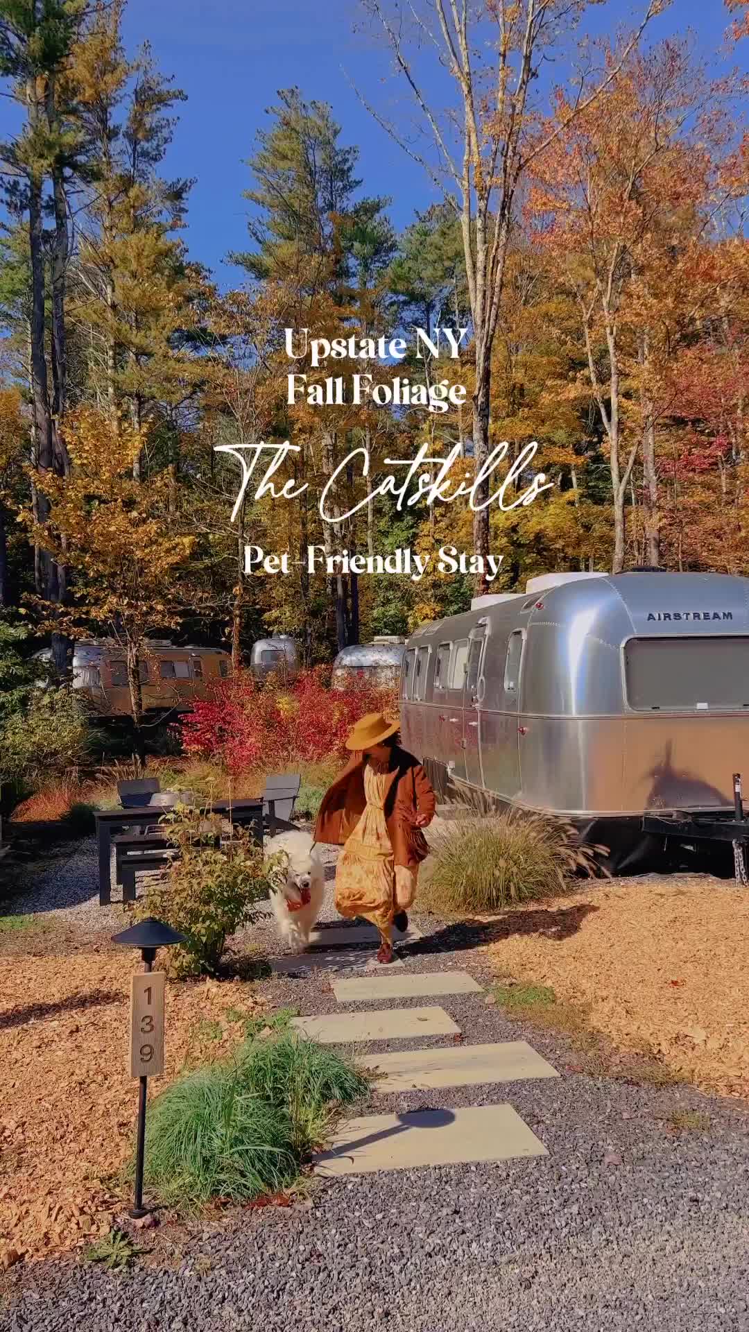 🍁 Upstate NY Fall Foliage: Pet-Friendly Catskills Stay