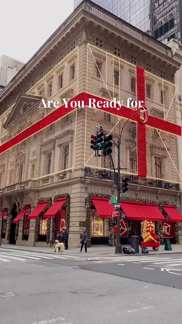 🎄✨Are you ready for Christmas in NYC? 
It is definitely one of the most stunning seasons of New York City! There are so many lovely decorations that put you in a festive mood, and so many fun things to do! I can’t wait to share all my favorite Christmas spots and events with you! 
📍Places in this reel:
1. Cartier on 5th Ave
2. @lilliesvictorian Union Square 
3. Louis Vuitton on 5th Ave
4. @oscarwildenyc 
5. @rolfsny 
6. Radio City Music Hall 
·
· ✨Follow @fishsflourish for more travel, photo & aesthetic inspo
·
·
· #nycchristmas #newyorkchristmas #christmasinnyc #christmascity #nycholidays #christmastravel #christmasinspo #prettycitynewyork #explorenyc #nycgram #visitnyc #thisisnewyorkcity #wildnewyork #newyorkcityfeelings #nycdotgram #nyc_highlights #nycityworld #travelnyc #newyorktravel #nyc_explorers #newyorkbound #nybucketlist #christmasinnewyork #unlimitednewyork #newyorkigers #nyc_explorers #nyctravelblogger #christmasmarket #nycrestaurants 
·
·
·NYC Christmas, NYC holidays, NYC travel, New York, Christmas trip, Christmas markets, holiday travel, travel tips, NYC restaurants