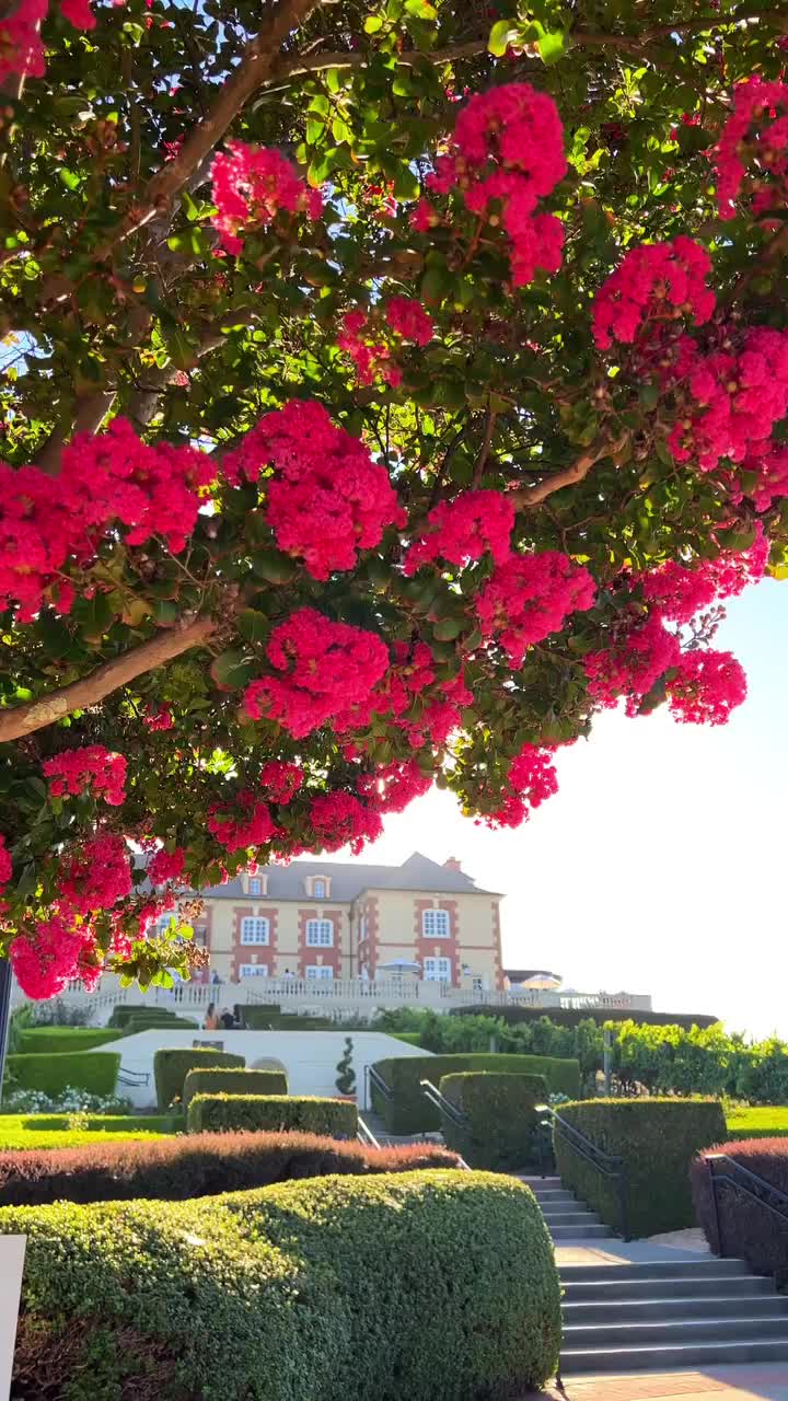 Discover Domaine Carneros: Napa's French-Inspired Château