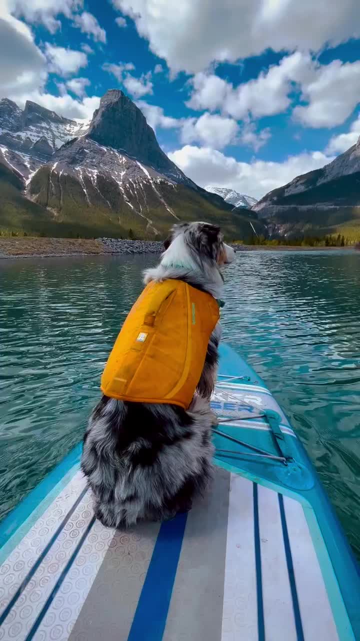 Paddleboarding Adventures in Canmore with Our Pup