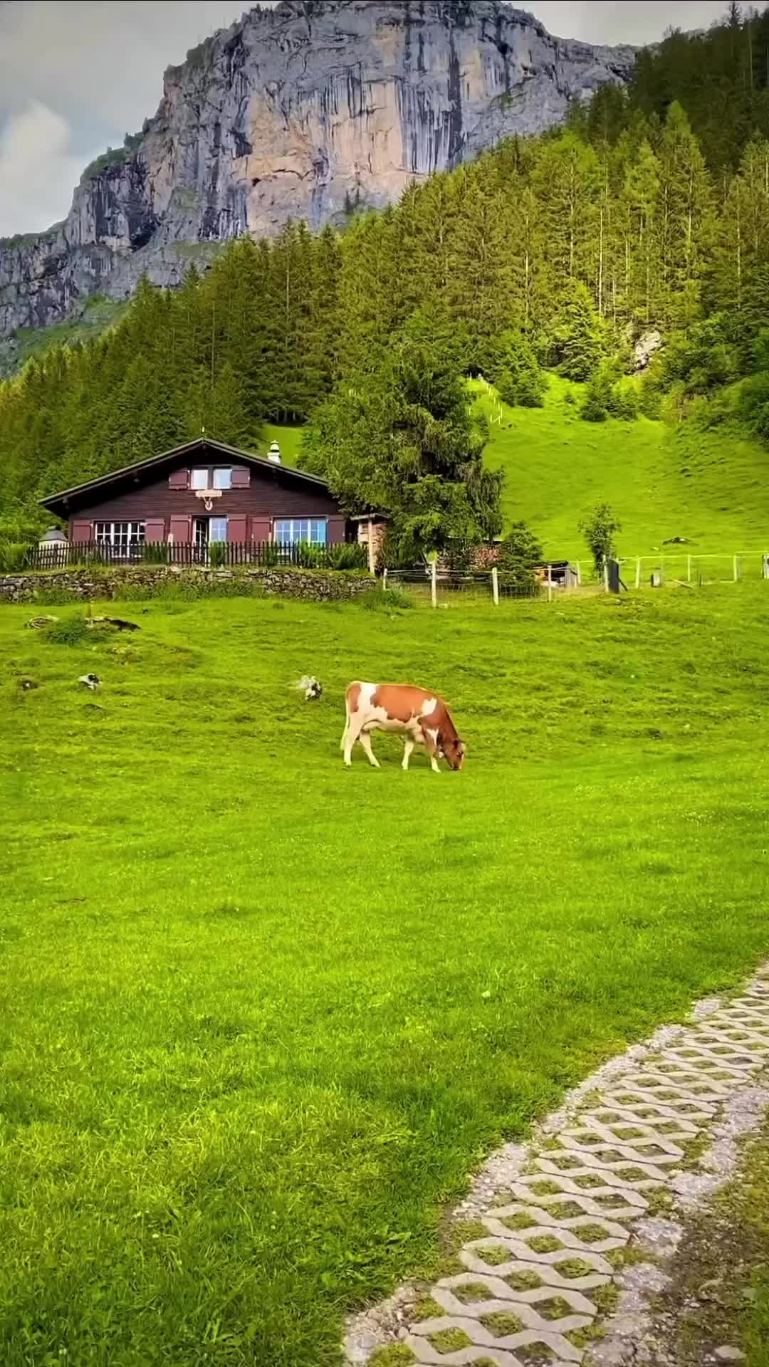 Best View in Unterschächen, Uri, Switzerland 🌄