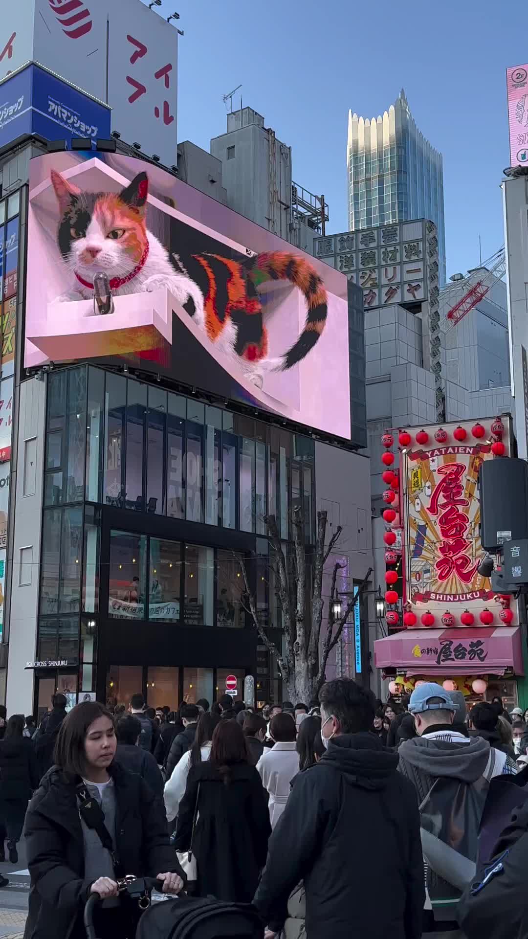 Giant 3D Calico Cat at Shinjuku Station, Tokyo