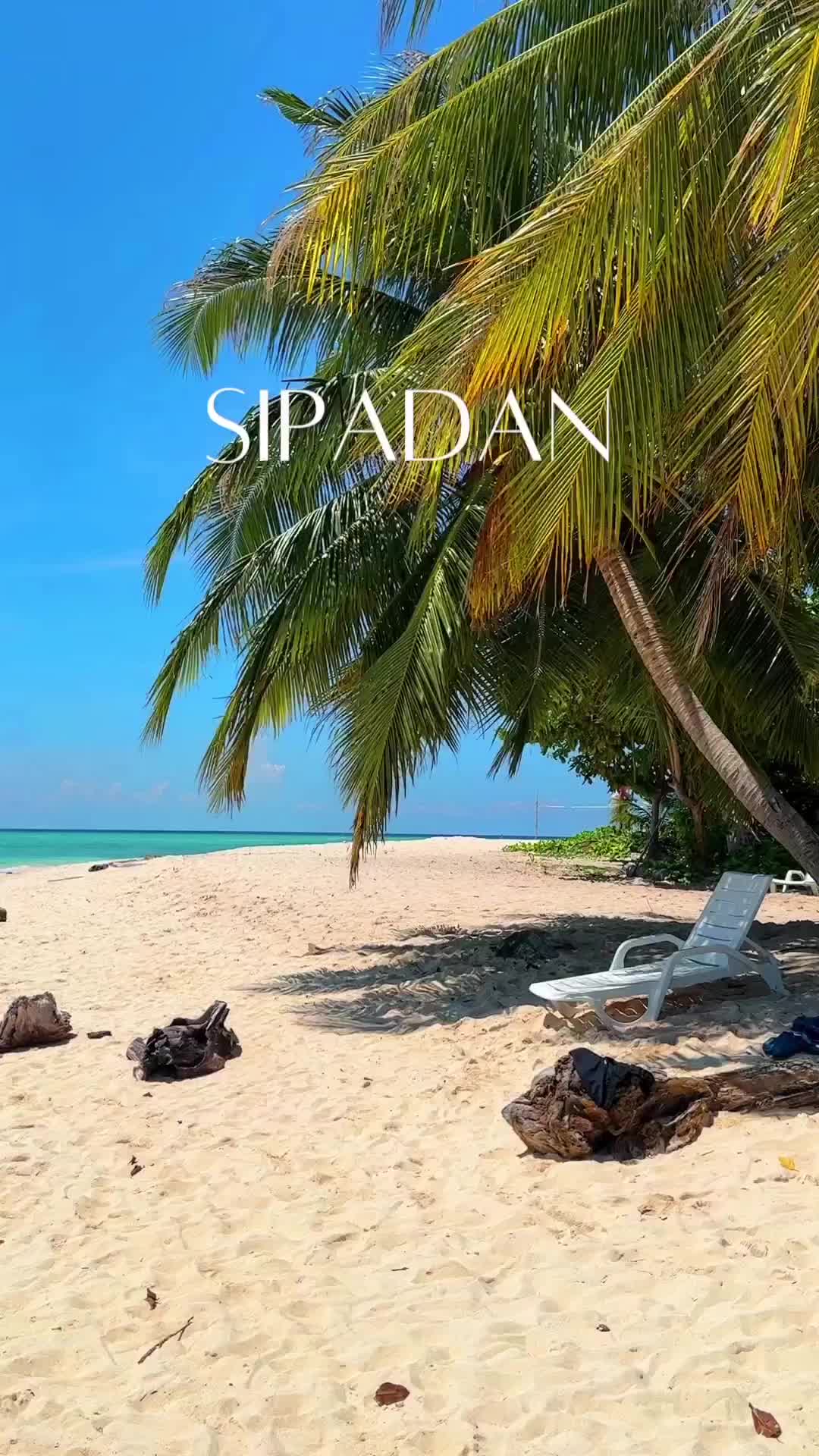 Dive into Paradise: Sipadan Island Scuba Adventure