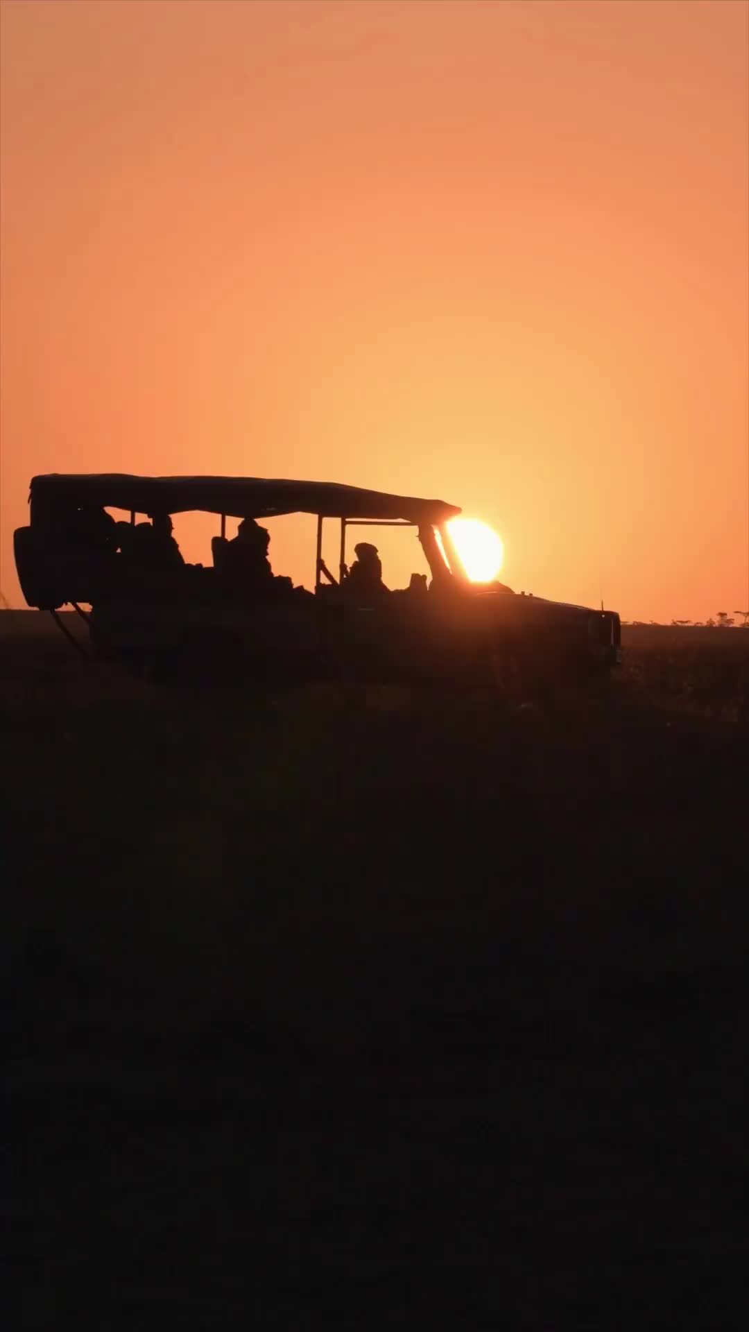 Sunrise Safari in Masai Mara: A Magical Experience