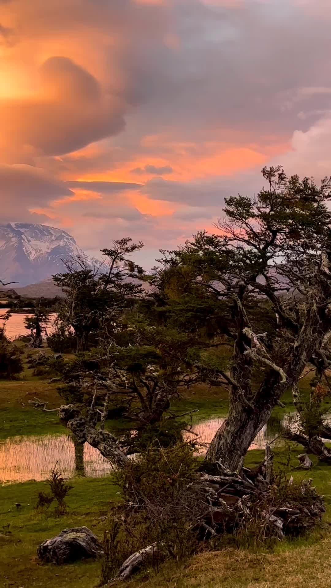 La Magia de la Patagonia en Torres del Paine, Chile