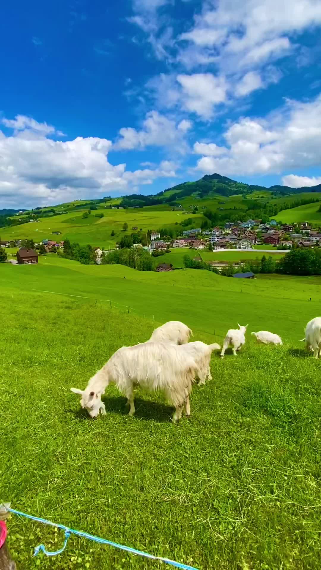 Summer in Appenzell: Swiss Countryside Adventure