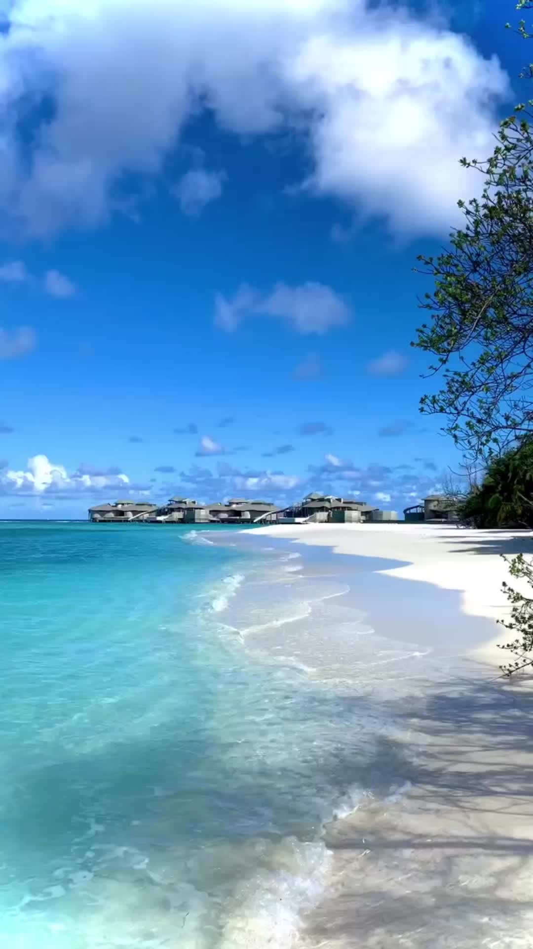 Discover Paradise at Soneva Fushi, Maldives