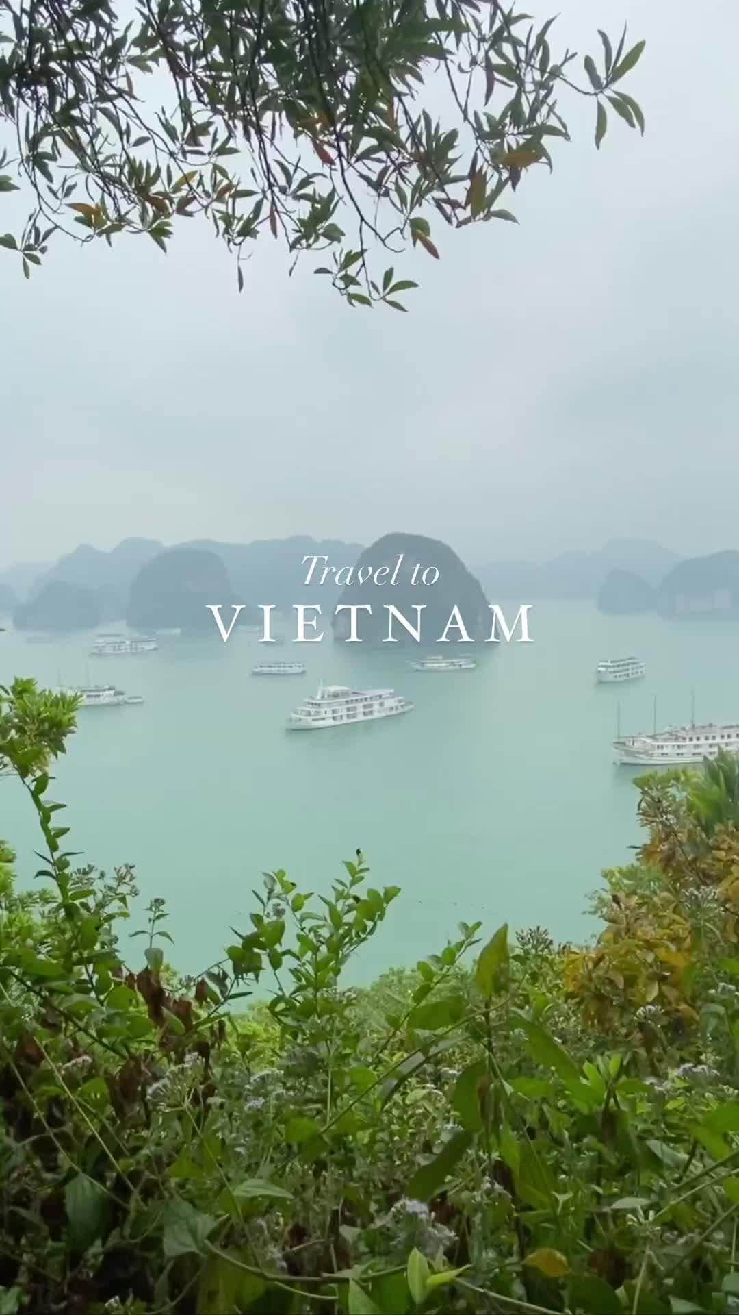 Vietnam’s best natural wonders 💚

Breathtaking landscapes appear at every turn in Vietnam. From Sapa’s patchwork of impossible-green rice paddies, while in Halong Bay a horizon studded with incisor-like limestone islands makes an ethereal sight. Vietnam offers up a gorgeous array of superlative landscapes.

Here’s my top favorite places to visit in Vietnam:
📍 Hanoi 
📍 Ning Binh
📍 Hoi an 
📍 Sapa 
📍 Ha Long Bay

.⁣
.⁣
.⁣
.⁣
.⁣
.⁣

#reelsinstagram #reeltrending #reelitfeelit #vietnam  #roamtheplanet #dametraveler #darlingescapes #exploretocreate  #travelblogger #girlslovetravel #sheisnotlost #visitvietnam  #ig_asia #passionpassport #gltlove #roamtheplanet #asiatravel #southasia #travelreels  #beautifuldestinations #sapa #reiseblogger #halongbay #hoian #vietnamtravel