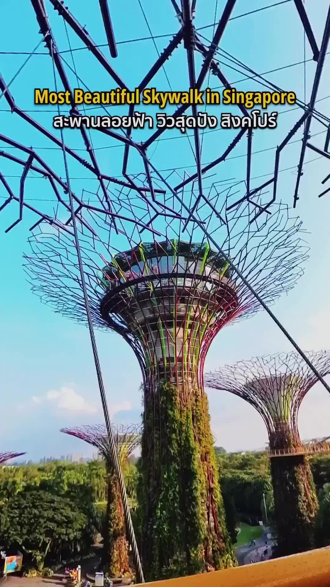 Spectacular Views from OCBC Skyway, Singapore