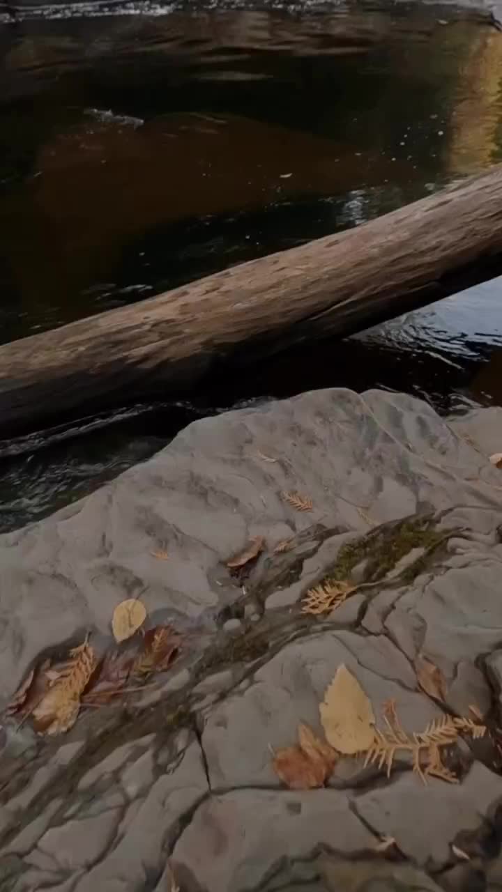 Fall Hiking and Waterfalls in Porcupine Mountains