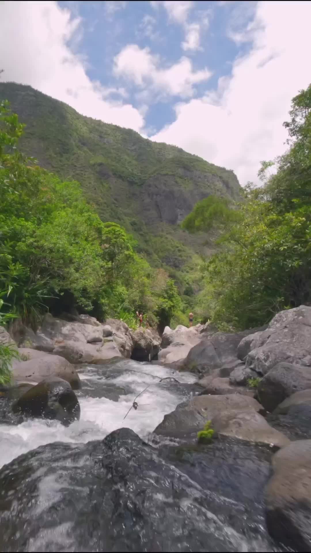 Stunning Dive Over Reunion Island's Grand Bassin River