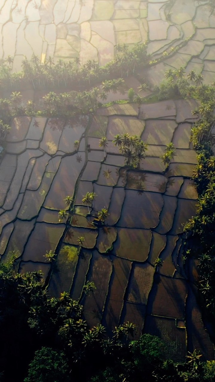 A day worth of Ubud, Bali visuals! 🌴

After a 3-day shoot in Seminyak for a project w/ @vibetribeph and @airasiasuperapp.ph , we had 2 days to explore Ubud before our flight back to the Philippines, and as much as wanted to explore more and beyond the city, half of the days were spent recovering from our exhausting shoots. So we had to make the most of the time we have.

Here are snippets of those adventures! 

Taken with @sonyphinc A7IV in 4K 10bit 24&60fps. Enjoyed shooting, editing, and coloring with these settings! 

Drone visuals by: @deejrobles 🔥

#ubud #ubudbali #kclububud #kclub #tukadcepungwaterfall #tukadcepung #tegallalangriceterraces #tegallalang #baliswing #baliswingubud #kecakdance #kecakdanceubud #bali #baliindonesia #balilivin #balilife #beautifuldestinations