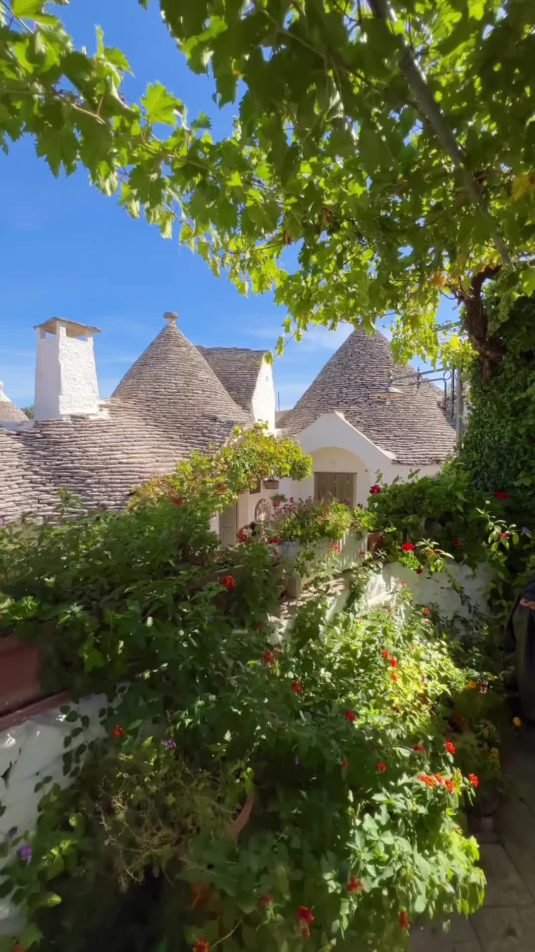 Discover Alberobello, Puglia's Trulli Houses