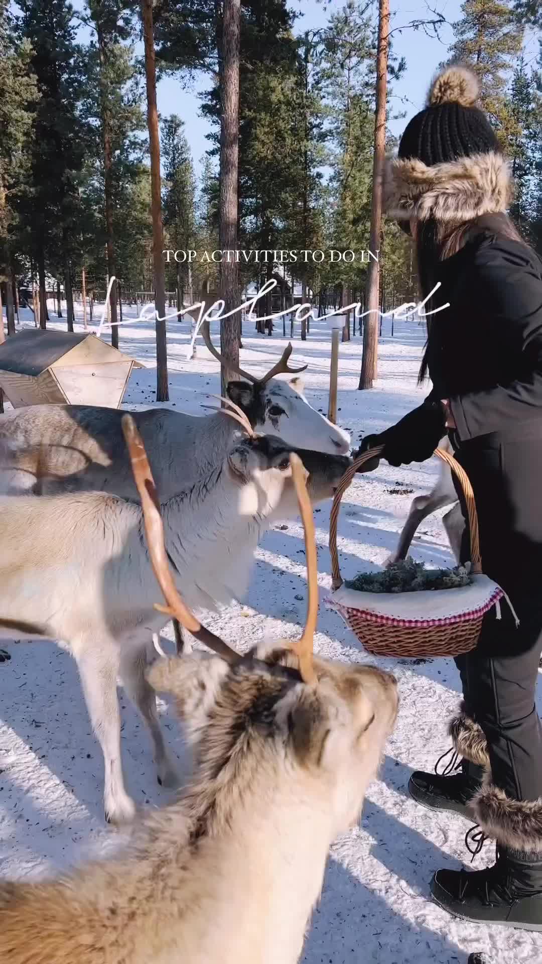 Top Activities to Do in Lapland: Ultimate Winter Guide