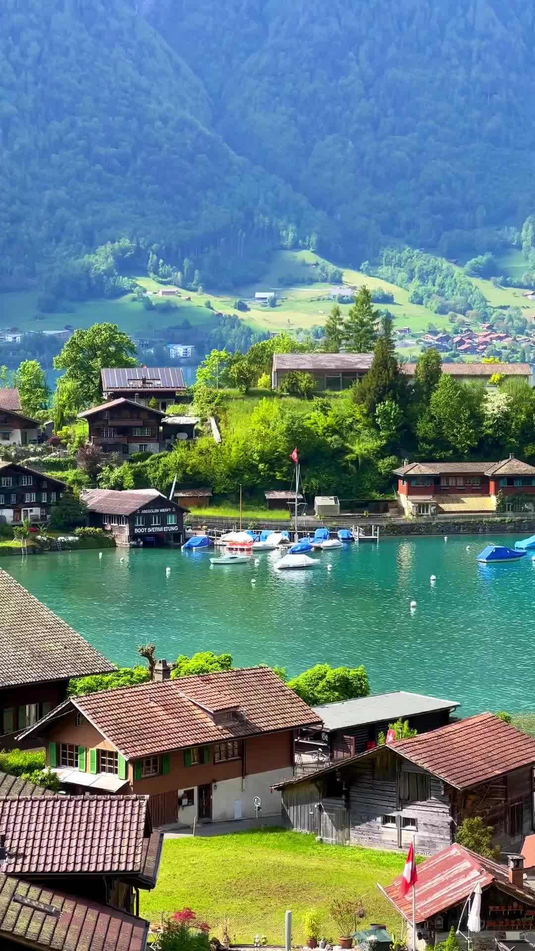 Discover Tranquil Lake Brienz in Iseltwald, Switzerland