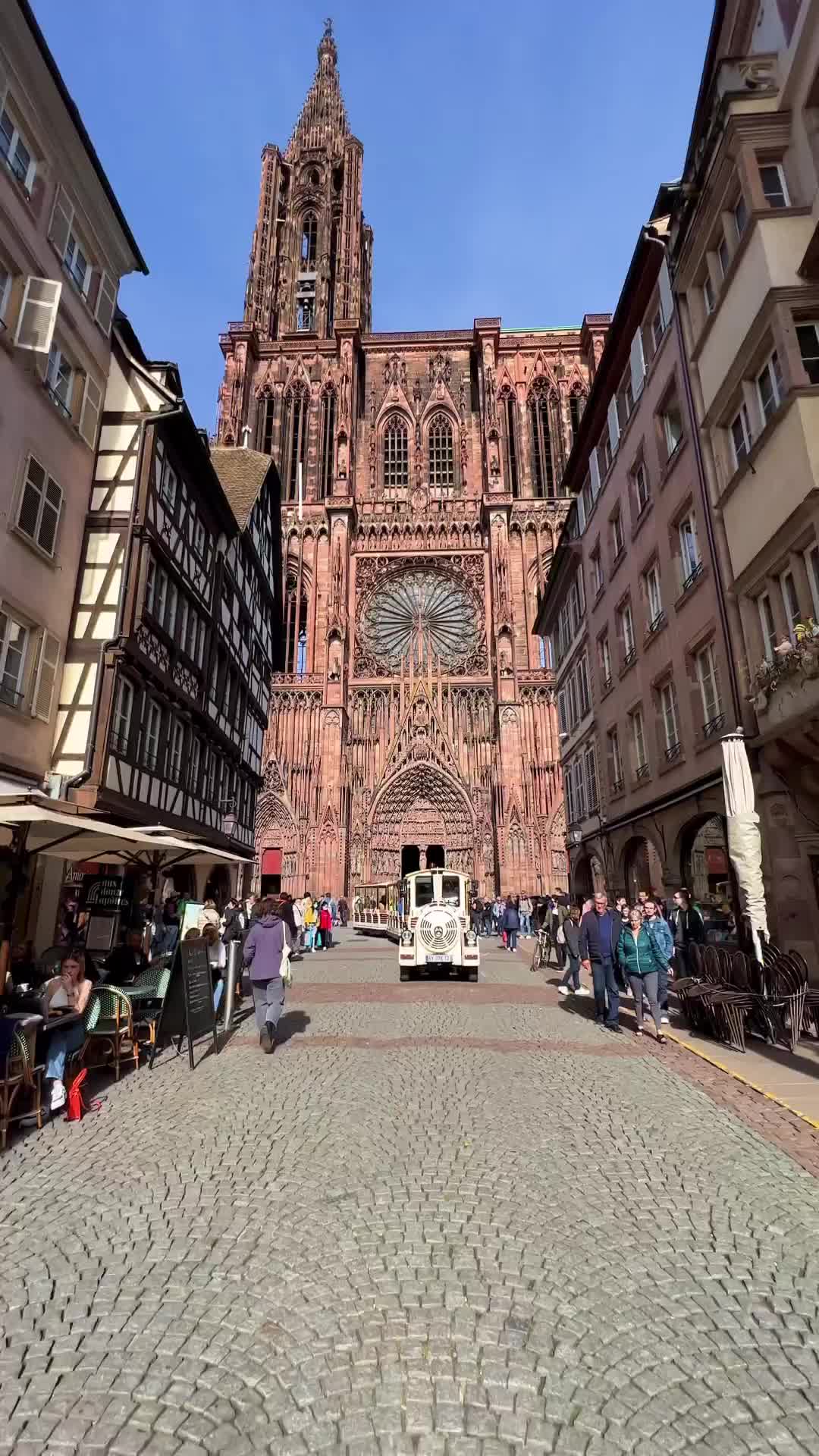Springtime in Strasbourg: A Blooming Adventure