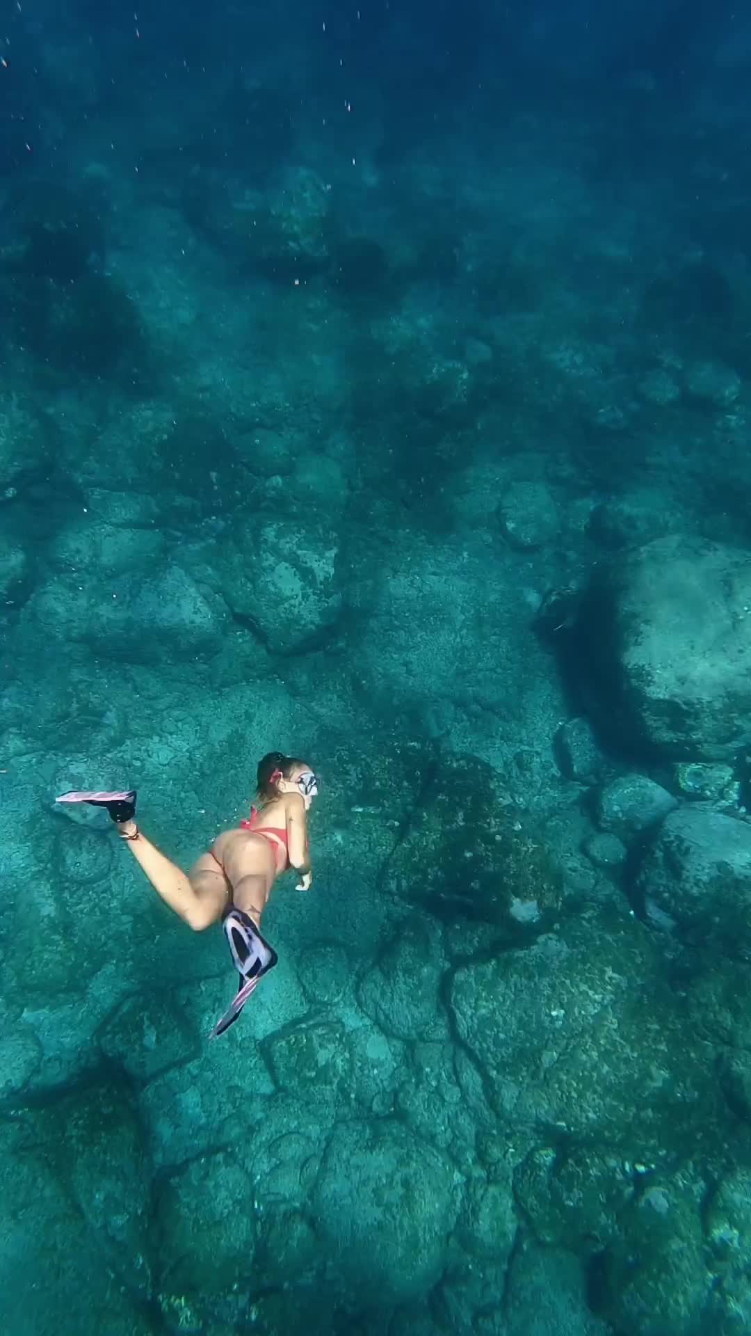 Snorkeling with Rays in Tenerife | Underwater Adventure