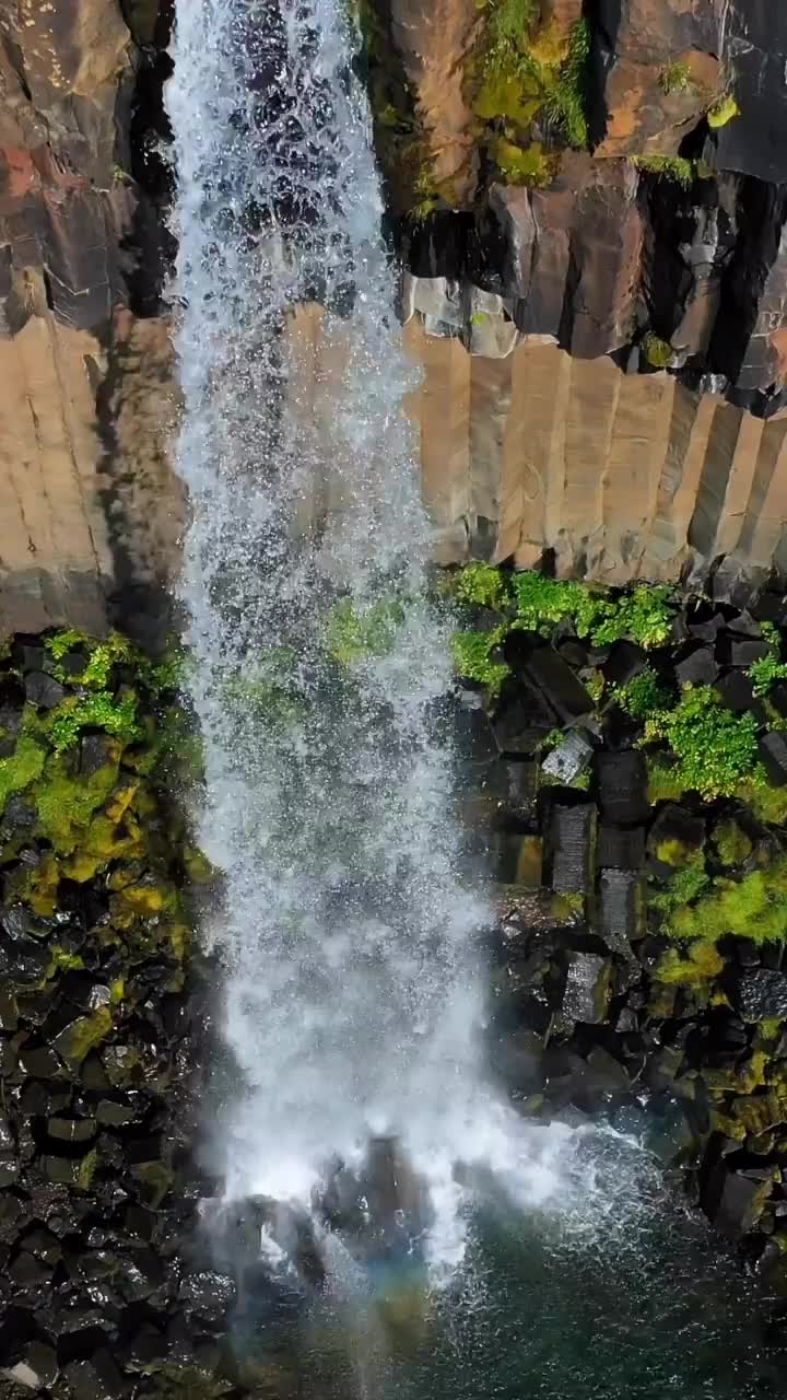 Discover Svartifoss Waterfall in Skaftafell, Iceland