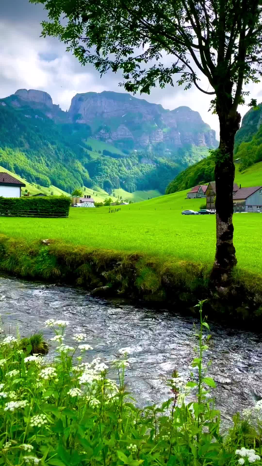 Discover Scenic Appenzell, Switzerland | Nature Lovers' Paradise