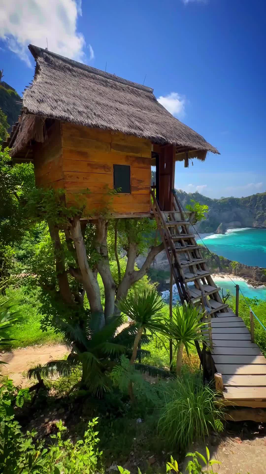 Could You Live in This Tiny Tree House Villa? 🌴🏕️