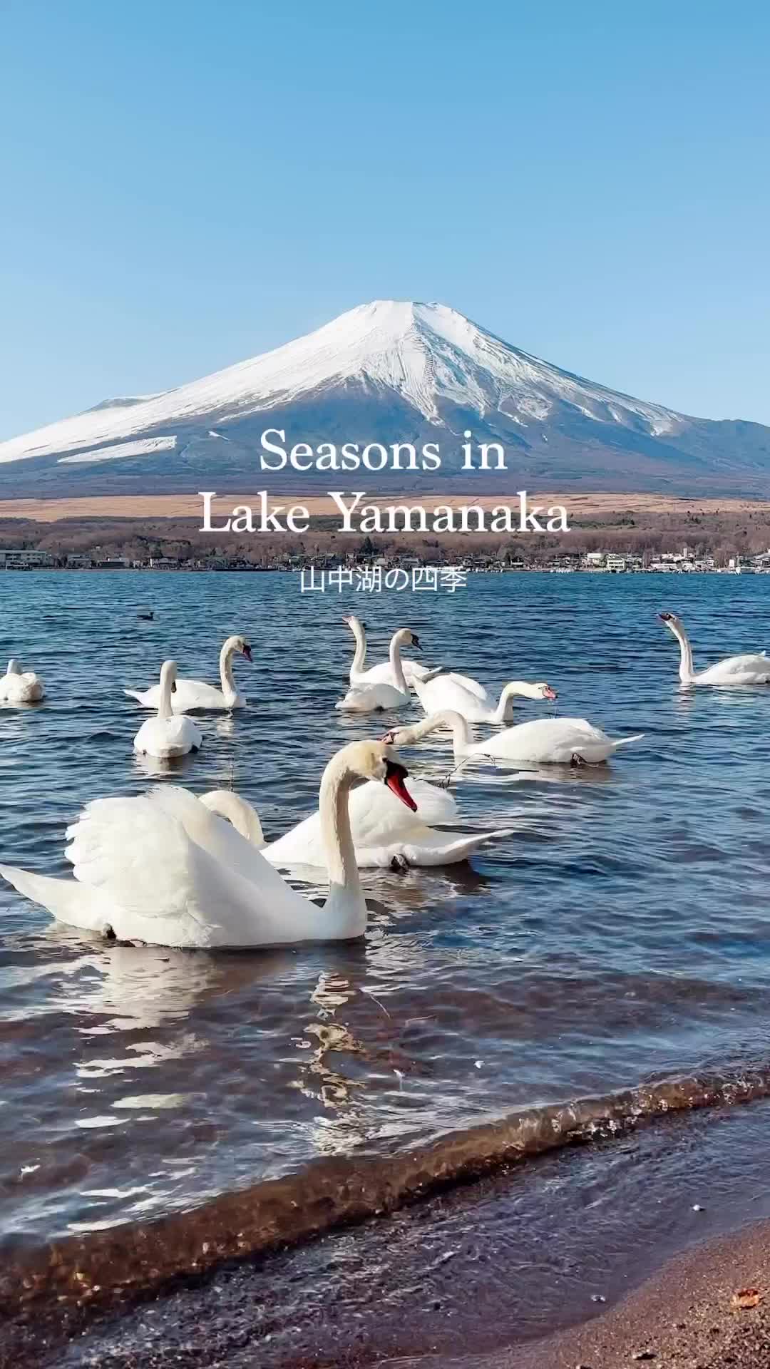 Peaceful Lake Yamanaka with Stunning Mt. Fuji Views