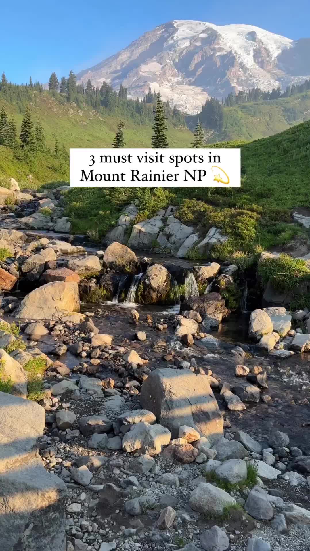 Top 3 Must-See Stops on Mount Rainier's Paradise Side