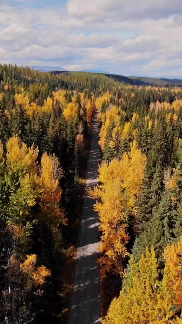 Fall Road Trips Through Montana's Stunning Wilderness