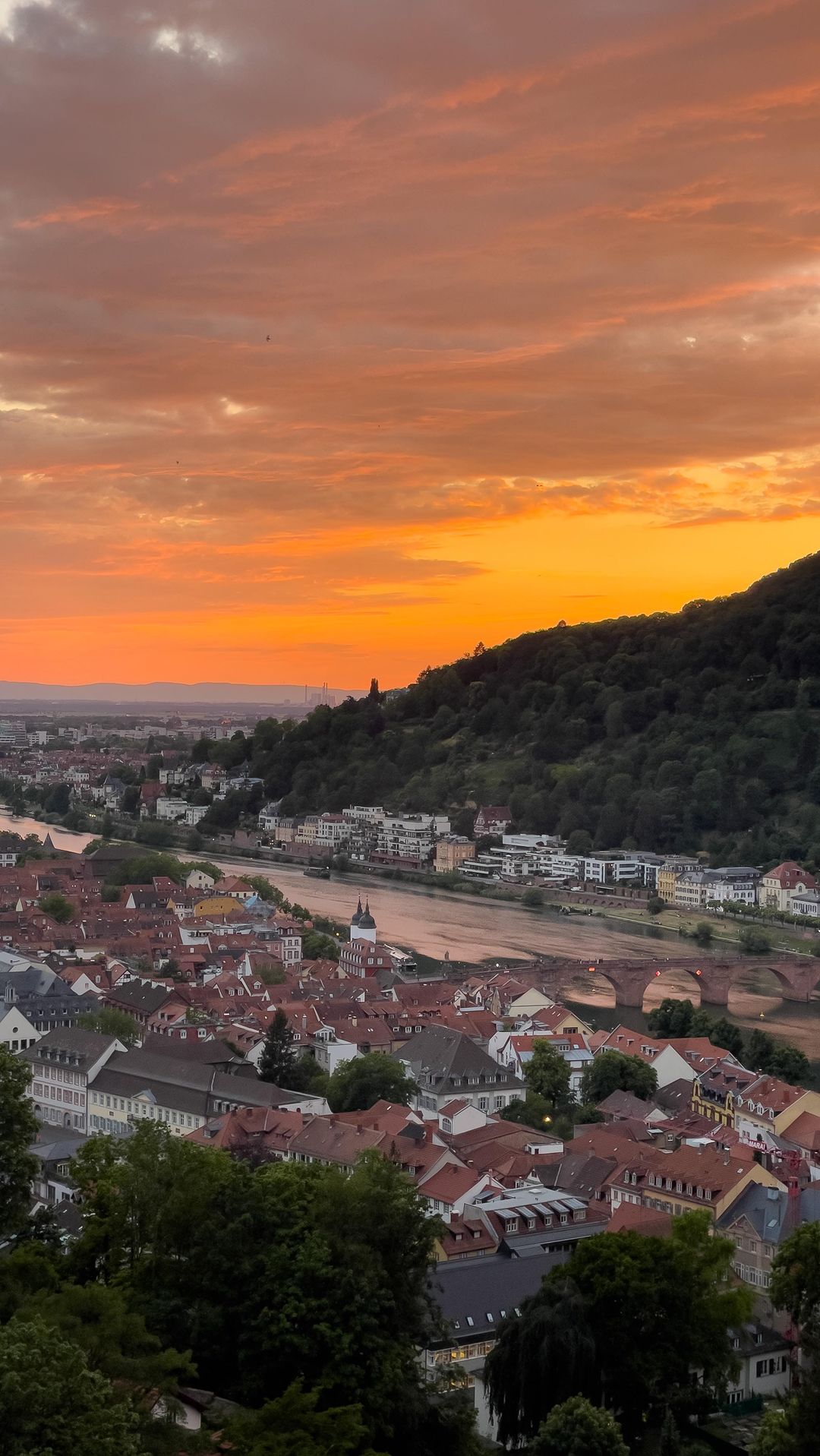 Historic and Scenic Journey through Heidelberg and Surroundings