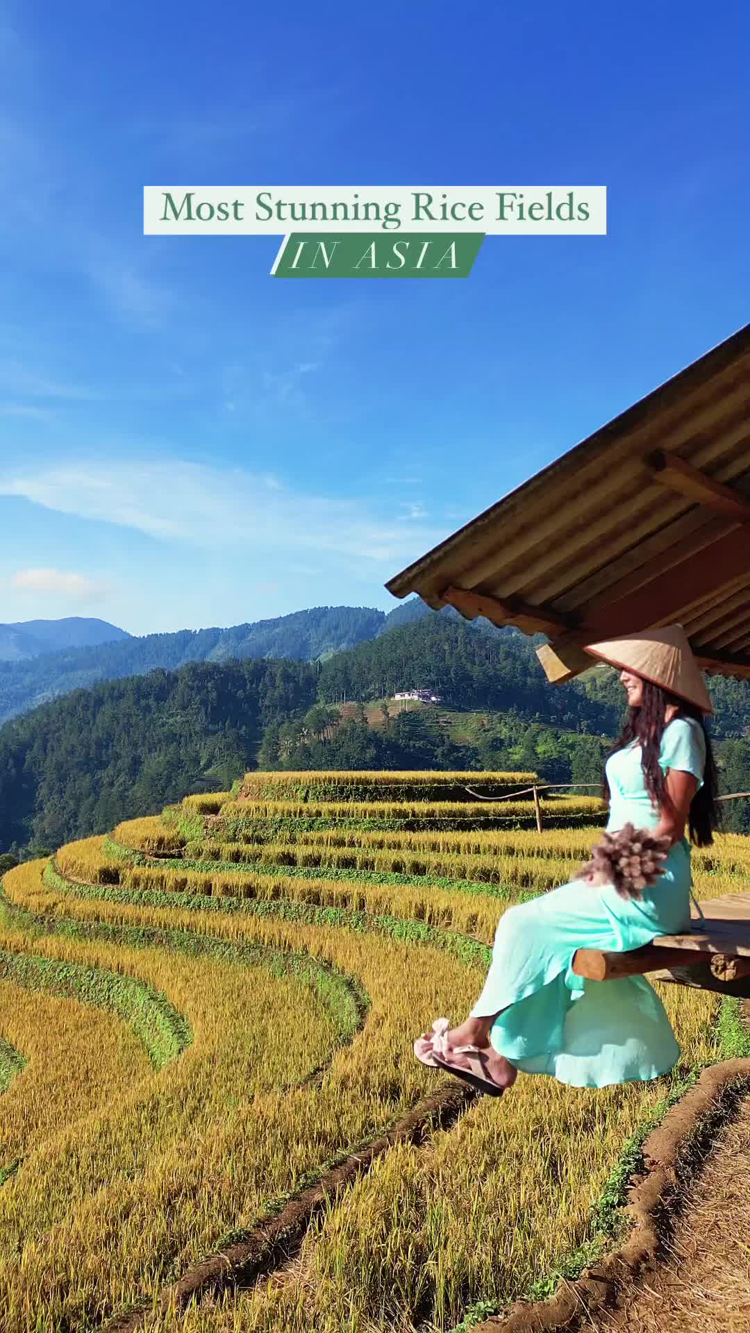 Mu Cang Chai vs Sapa: Best Rice Fields in Vietnam