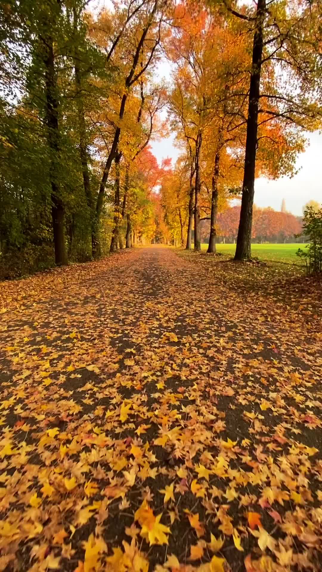 Autumn Magic at Parco di Monza, Italy 🍂✨