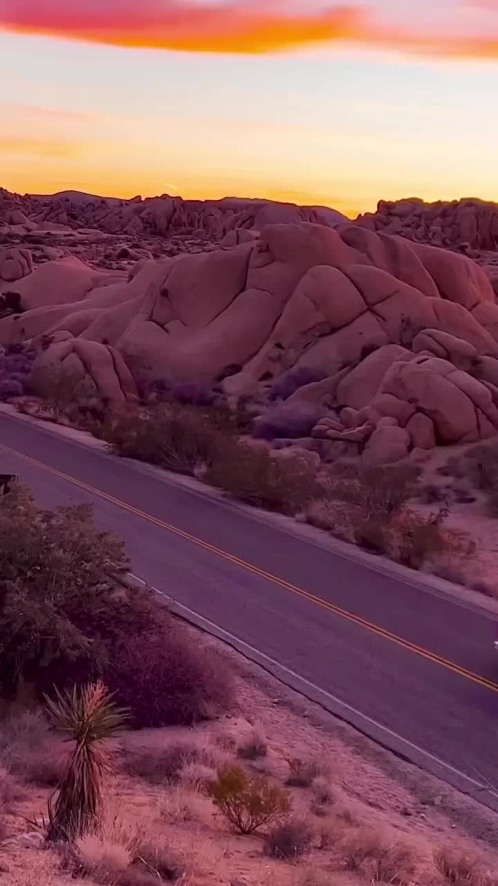 Sunset Magic in Joshua Tree: A Journey to Success